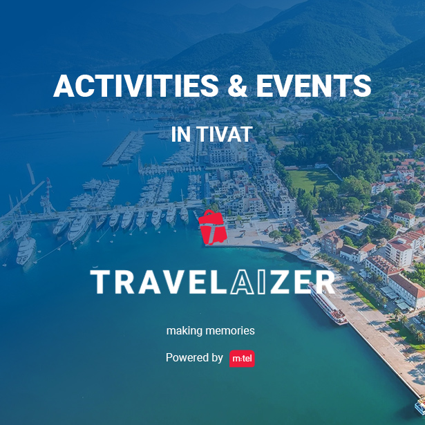 travelaizer